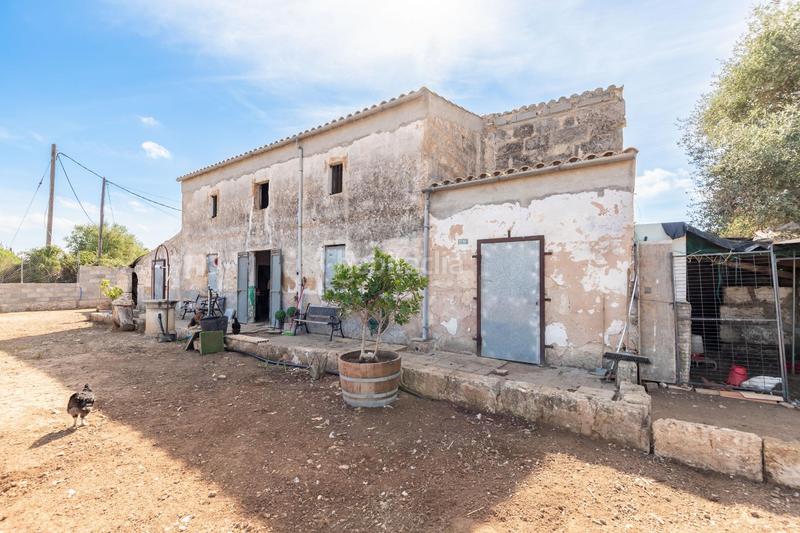 Foto 9ff666c3-9841-4934-b280-d61b6a4db06c. Casa mallorca f rústica en Zona Periurbana Inca