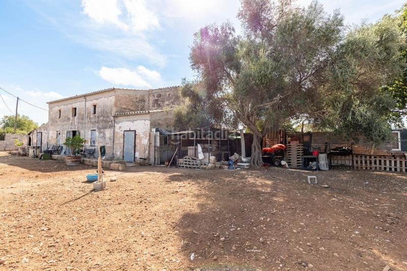 Foto cd2fce7f-6256-4f96-83d2-bb1da5606b02. Casa mallorca f rústica en Zona Periurbana Inca