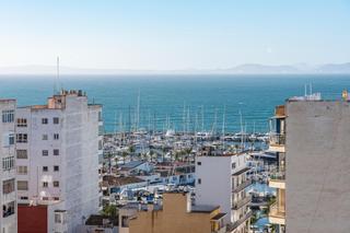 Appartement  Gran i general consell. Moderno apartamento con vistas al mar en el arenal