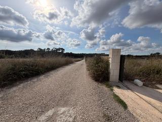 Bauernhof  Camino de ca na melis. Refugio natural en sineu