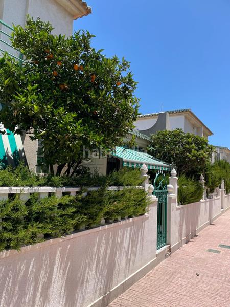 Foto ed454b99-d544-442d-a3ee-19463b968ba8. Casa pareada  de tres habitaciones en los altos en Torrevieja
