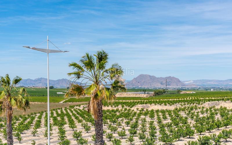 Foto 1f7e910c-127b-4e47-8e62-04bfdcdaf58f. Xalet a Algorfa