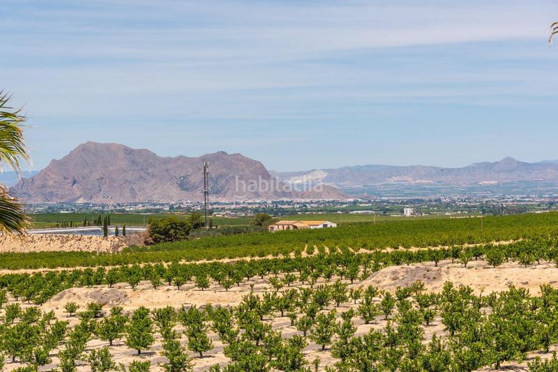 Foto f5e3b2b9-da0e-4e52-827e-956ef44c20ce. Xalet a Algorfa