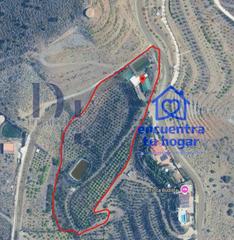 Rural plot en Norte - Barrio del Pilar - El Reidero. Finca agrcola de 11.538 m2 con produccin de mangos y pozos pro