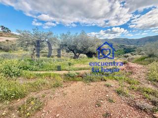 Finca rústica en Sedella. Parcela rústica de 6.200 m² entre sedella y canillas – ¡rebajada