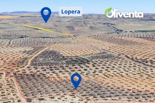 Finca rústica a N/a. Olivar en lopera. jaén. 196 olivos