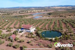 Landgut in N/a. 2880 olivas únicas en venta en arquillos, al pie del río guadalé