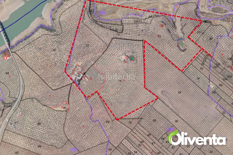 Foto 35f9caee-dd33-4e9d-9a38-ac1505ca52cc. Finca rústica en n/a 2880 olivas únicas en venta , al pie del río guadalén en Arquillos