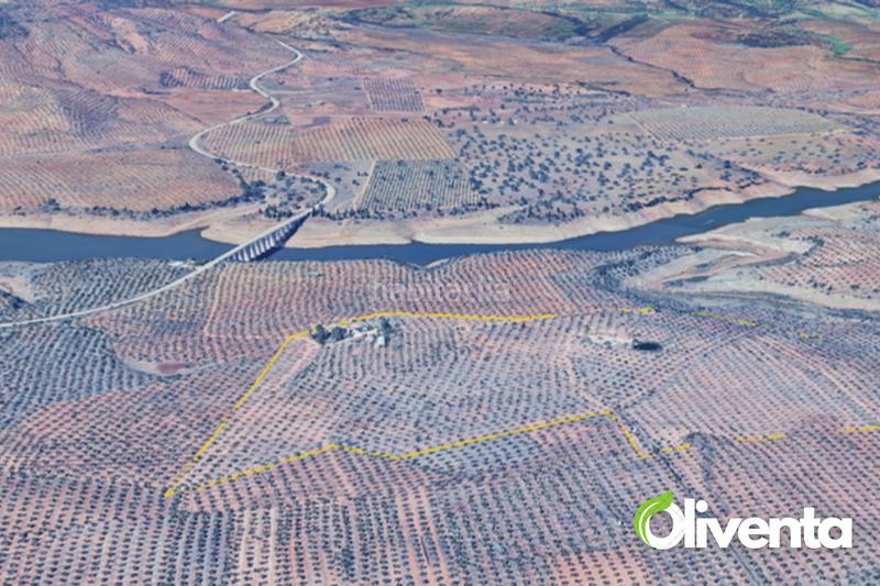 Foto 61038613-c3ac-49b7-b345-db7bdb372d3a. Finca rústica en n/a 2880 olivas únicas en venta , al pie del río guadalén en Arquillos