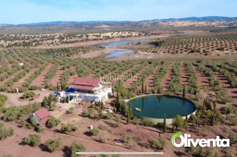 Foto 9088a19b-19e9-4954-8184-1aa08ceeafeb. Finca rústica en n/a 2880 olivas únicas en venta , al pie del río guadalén en Arquillos