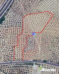 Finca rústica a Jv-2121 70. Olivar en jaén de 21.000 m² con 195 olivos y subvención en torre