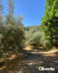 Finca rústica a N/a. Olivar en jaen  con casa y pozo a 2min de jaén capital ( subvenc