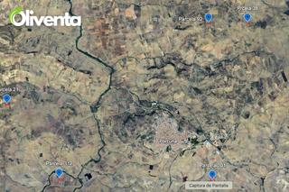 Finca rústica a Calle ronda del albaicín 47. Olivar en porcuna, jaen. venta de varios olivares centenarios
