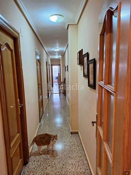 Foto e41b8182-0680-4cea-aa6a-c59fa617c6b8. Pis a Centro Ciudad Paterna