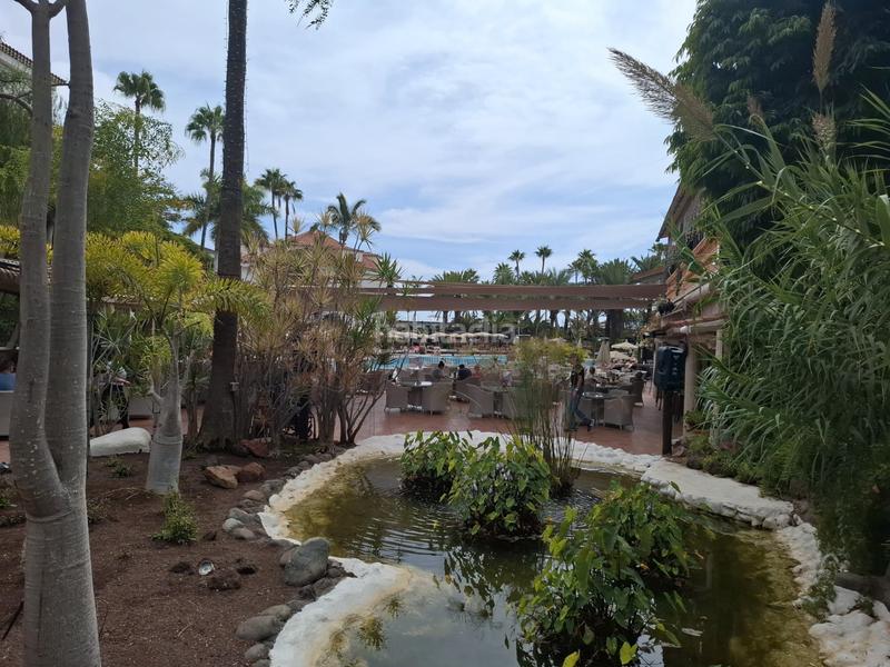 Foto 0149f547-87ac-479d-aa7e-1bc1be252f4f. Apartment with pool in Playa del Inglés San Bartolomé de Tirajana