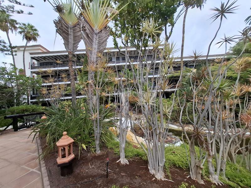 Foto 262242de-08b9-47bb-8d5d-30156c85f703. Apartment with pool in Playa del Inglés San Bartolomé de Tirajana