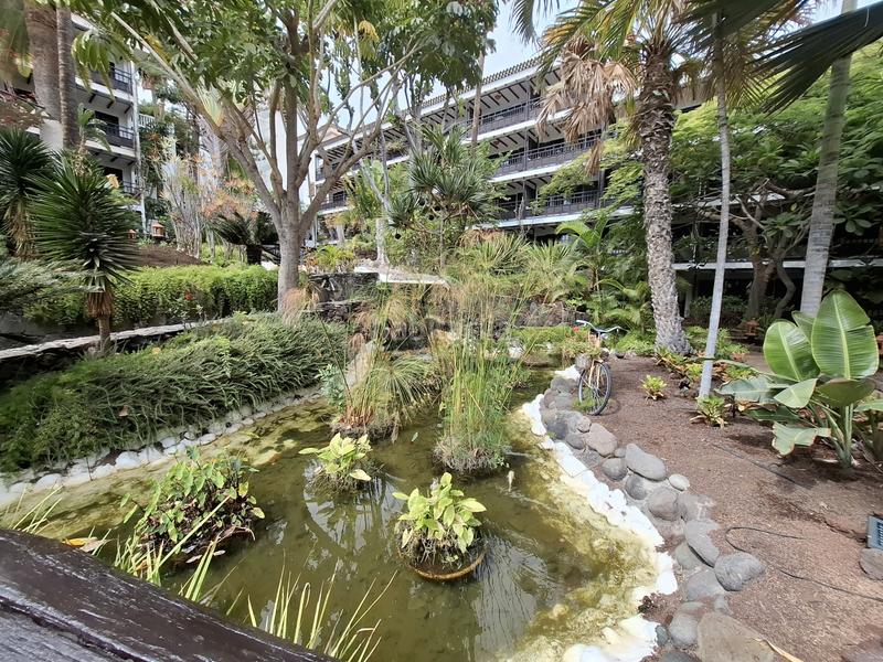 Foto 9b8c4b47-963b-44aa-85be-c455ce1c1f42. Apartment with pool in Playa del Inglés San Bartolomé de Tirajana