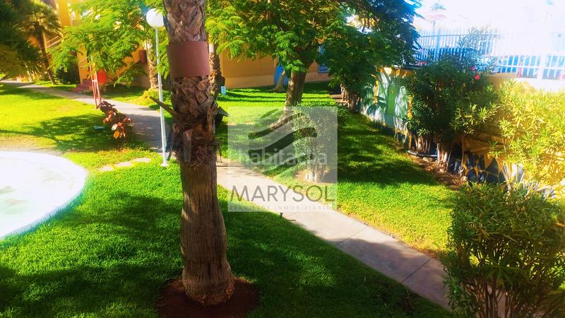 Foto a8566d40-f98b-480e-a0d9-12f5ee21b459. Lloguer planta baixa a calle tauro 4 a Maspalomas - Meloneras San Bartolomé de Tirajana