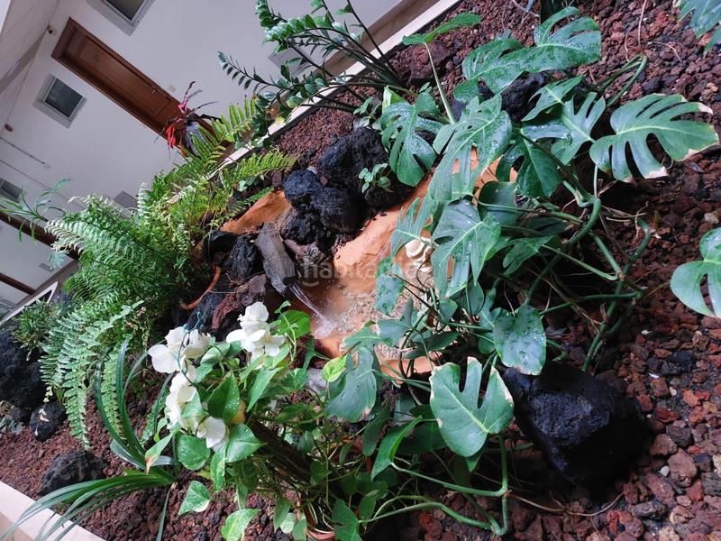 Foto dc250040-327f-4143-955a-f21ab19c8ed9. Miete appartement mit pool in Playa del Inglés San Bartolomé de Tirajana