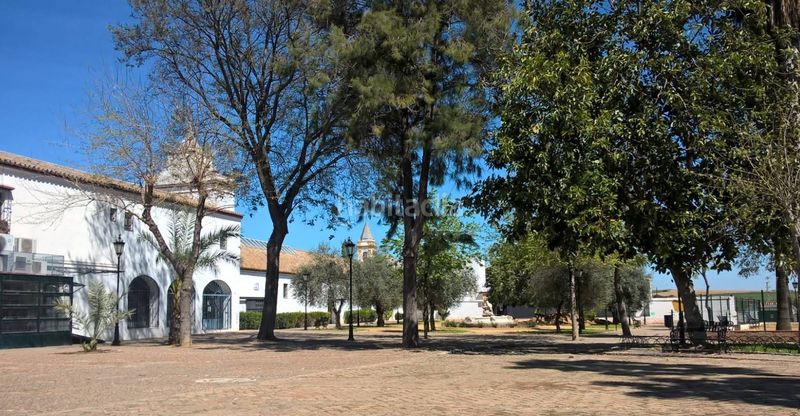 Foto 7862755f-ef56-4176-bccb-dd32a42534c1. Xalet a Palomares del Río