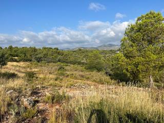 Terreny residencial en Urbanizacion urbanizacion los visos 8. Terreno urbano en venta urb. los visos, cheste