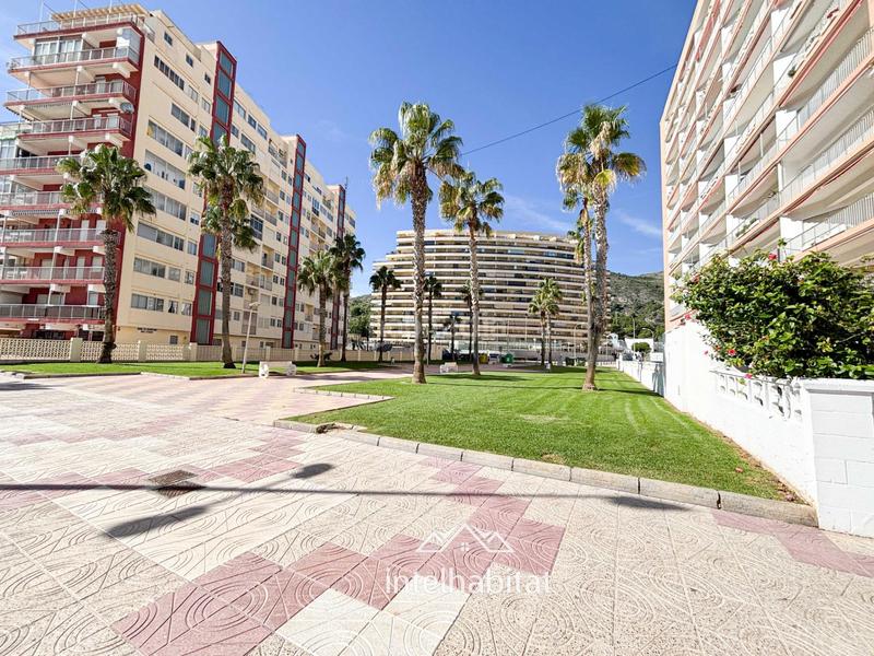 Foto 26916551-7aaa-4aa1-ad77-04c0386ac7ec. Miete appartement mit parking in Racó Cullera