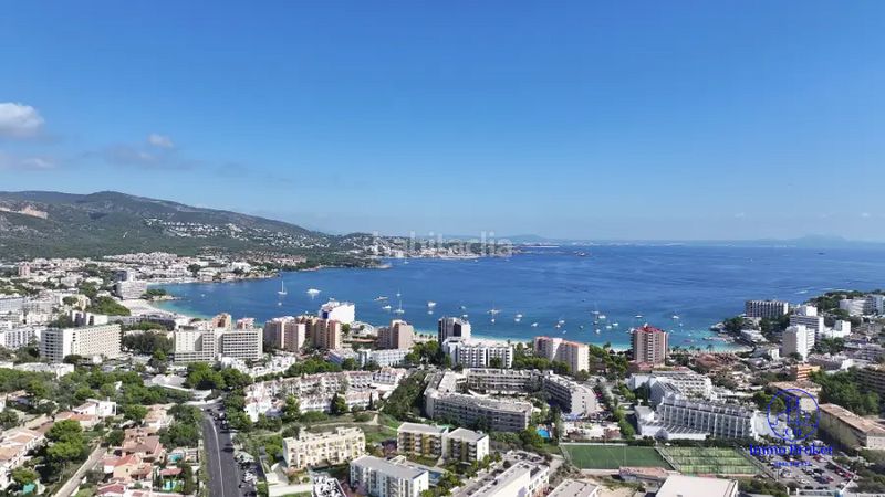 Foto 668d4dcd-74ee-46ea-a5f5-529154ee8581. Apartamento amplio apartamento en Palmanova con terraza y piscina en Calvià