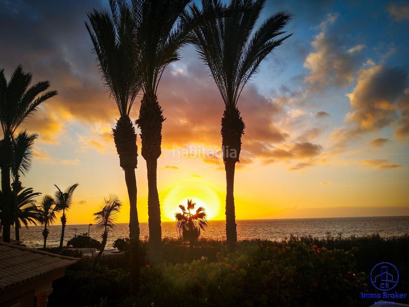 Foto 7879cfed-a471-4437-8f2b-b0e2755588c1. Xalet amb aparcament a Palm - Mar Arona