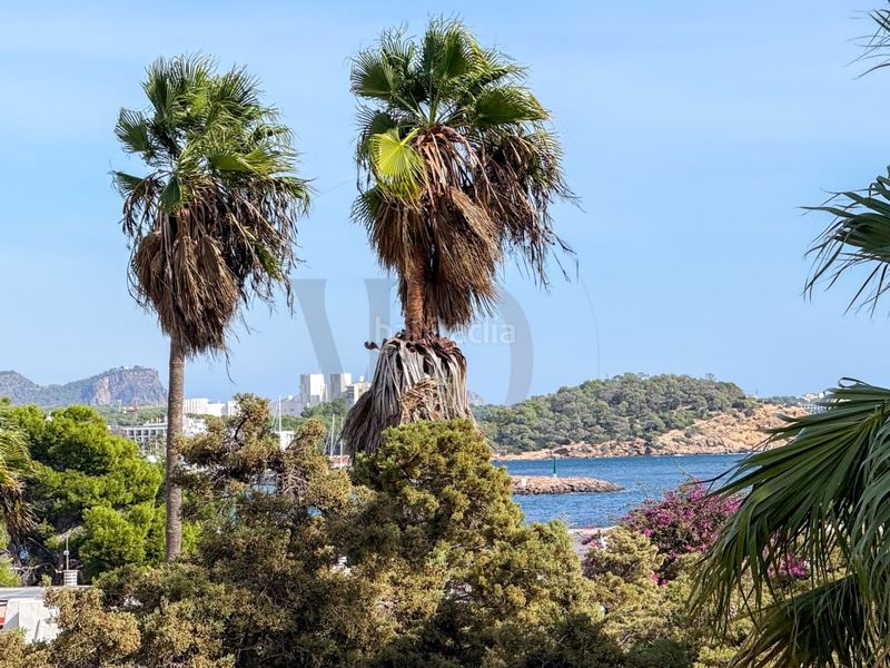 Foto a137a97e-4825-4752-bc43-d7fb6abcf6f8. Apartament a Santa Eulària des riu Santa Eulària