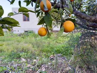 Xalet a Cala Vedella-Cala Tarida. Oportunidad única en el suroeste de ibiza proyecto de reforma co