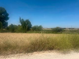 Finca rústica  N/a. Huerto ecológico