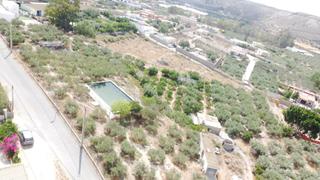 Finca rústica en Camino camino la yesera 13. Se vende terreno en pechina