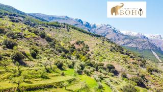 Finca rústica a Abrucena. Se vende terreno con almendros en abrucena