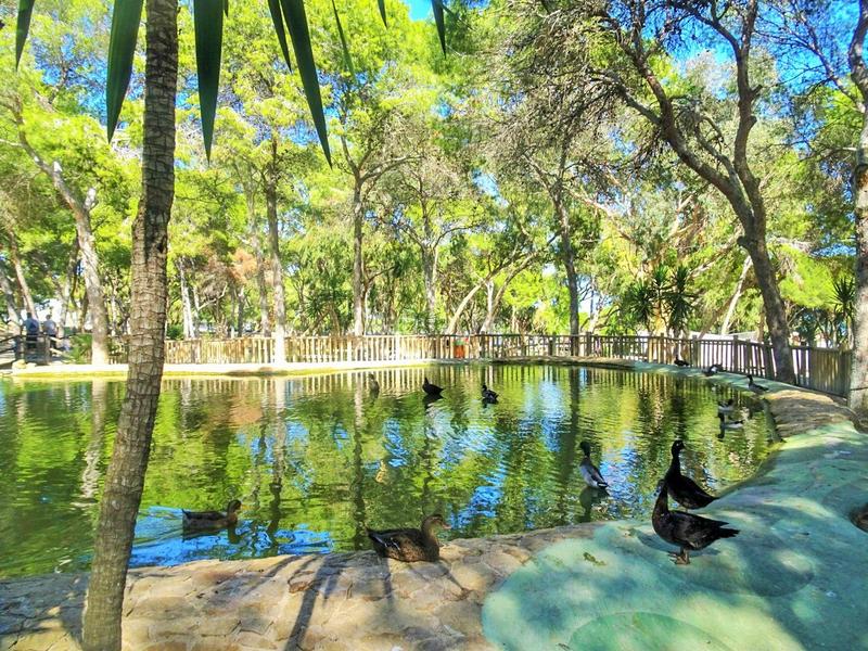 Foto 4054f57a-c8ba-4b9c-9f5f-3926ce54e160. Apartament a Puerto Deportivo Guardamar del Segura