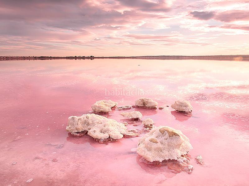 Foto 6c5d1e6e-9e3f-4c05-8203-703fb835028d. Maison avec piscine dans Zona Carrefour - Urbanizaciones Torrevieja