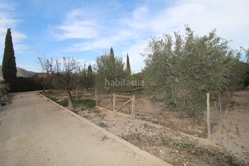 Foto 47485933-f75e-4b4b-a459-23fdbc02b4a7. Maison avec piscine dans Campo Alto-Club de Campo Elda