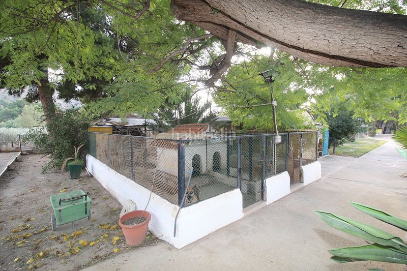 Foto 8f099b92-fe48-407a-a3d4-3a3c58740b13. Maison avec piscine dans Campo Alto-Club de Campo Elda