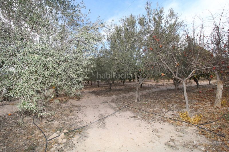Foto ea0d4045-39c8-4261-982f-bcf809df082d. Maison avec piscine dans Campo Alto-Club de Campo Elda