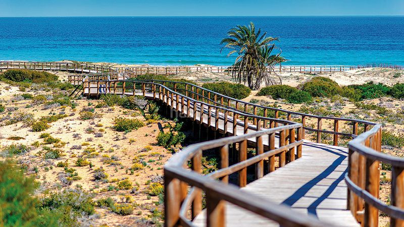 Foto 7e927a15-81a3-4839-8451-bb1bb0f18538. Apartament a Monforte del Cid