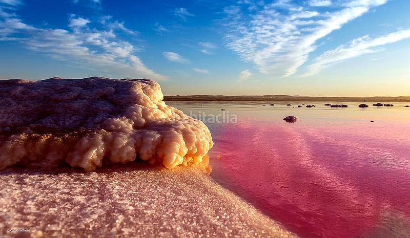 Foto 011613e3-3387-47df-99ef-081456b85761. Piccolo appartamento in Avenida Habaneras - Curva de Palangre Torrevieja