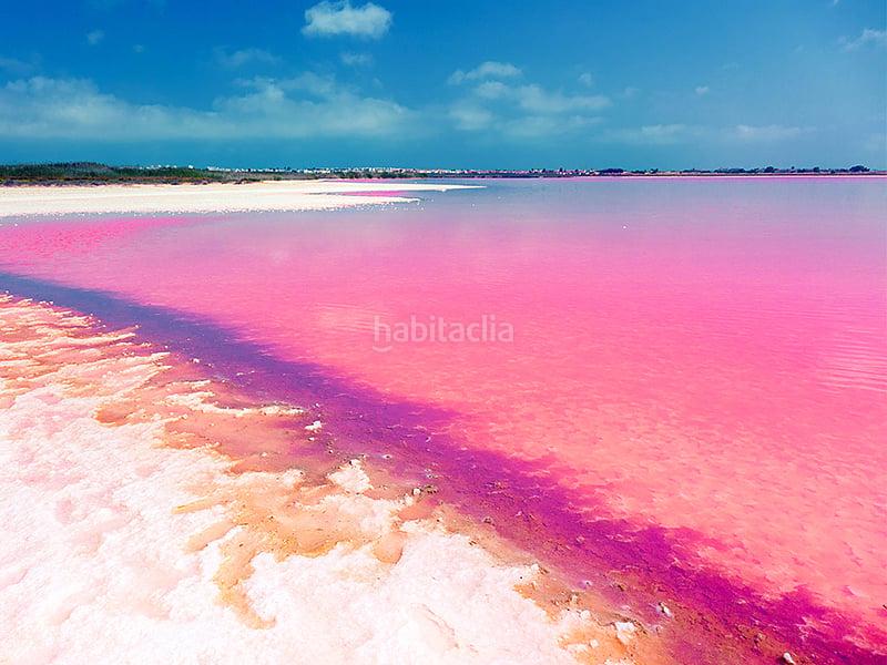 Foto 836a1559-9710-4416-9545-0b5d4b55e8e8. Apartament a Zona Carrefour - Urbanizaciones Torrevieja