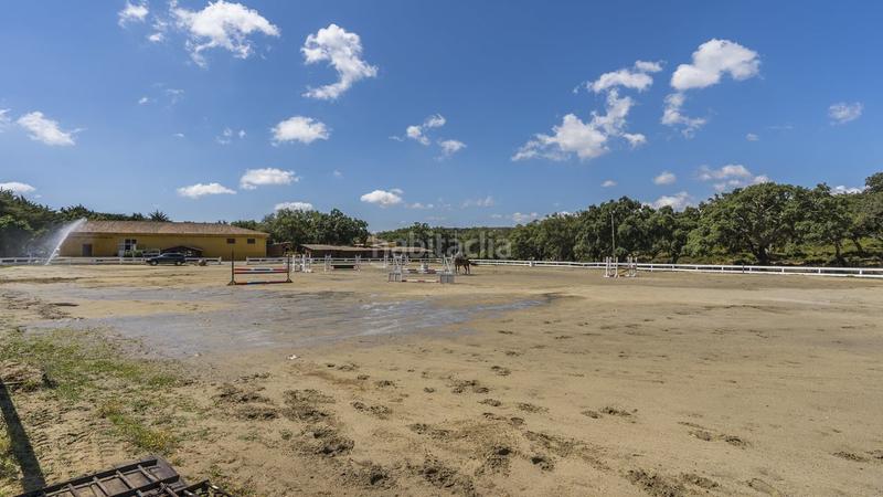 Foto c0ef6786-7632-4db8-839f-0e62998bca45. Piccolo appartamento in Sotogrande alto Sotogrande