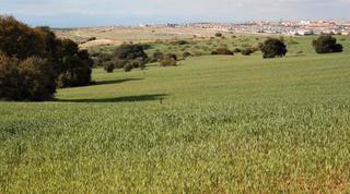 Residential Plot in Moraleja de Enmedio. Parcela en moraleja de enmedio