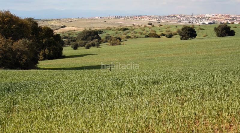 Foto f07d810a-936a-4fcb-a772-9940dfa78f4d. Terreno residencial parcela en Moraleja de Enmedio