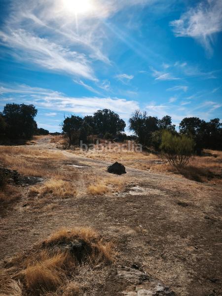 Foto f56cb1c9-78a2-44a5-8d0a-1e5bd14035f8. Finca rústica en calle la nava 19 terreno no urbanizable en Valdemorillo