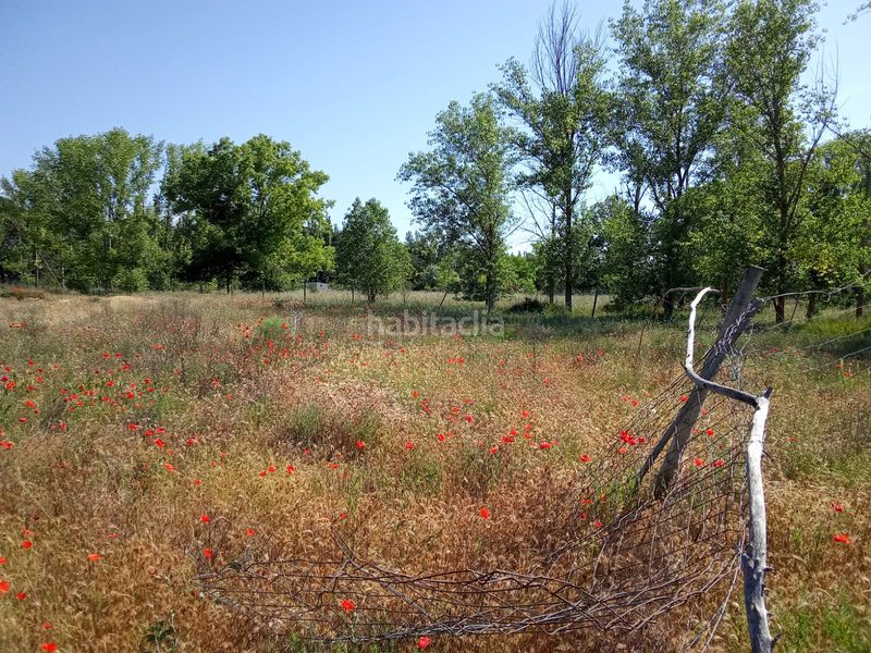 Foto fafc9a61-0b9e-4360-90a9-e5f47c0bc3ea. Finca rústica a Tudela de Duero