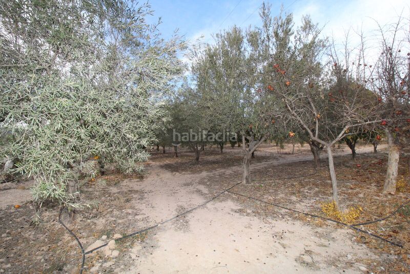 Foto 31ab1cf0-3bd7-47d0-a8fb-057e7b19dc90. Maison avec piscine dans Campo Alto-Club de Campo Elda