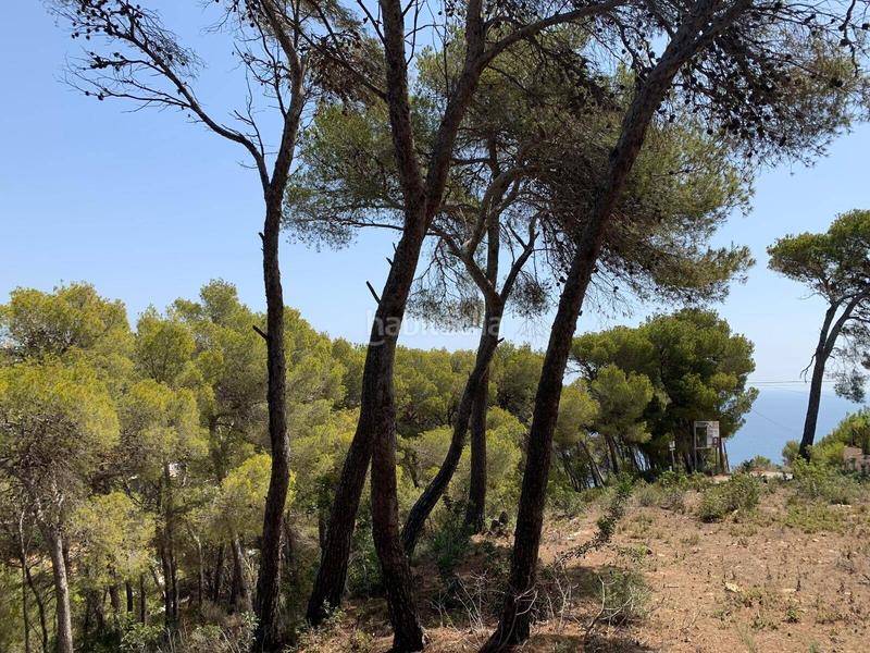 Foto adec35d8-5fb6-43f9-b473-ecb7bf0b46a7. Haus mit pool in Cap Martí - El Tossalet - Pinomar Xàbia