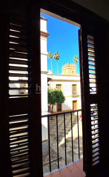 Foto 13f483ce-d283-4e7f-8900-26748a8e0a60. Pis a Alfalfa - Santa Cruz Sevilla