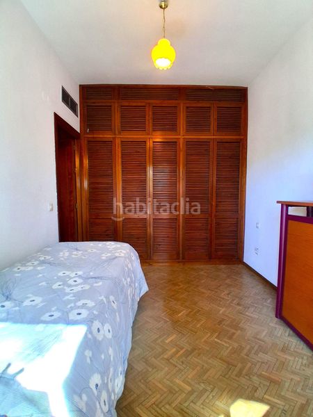 Foto 2139ce1a-6533-4d7a-8241-77b0070326f2. Pis a Alfalfa - Santa Cruz Sevilla